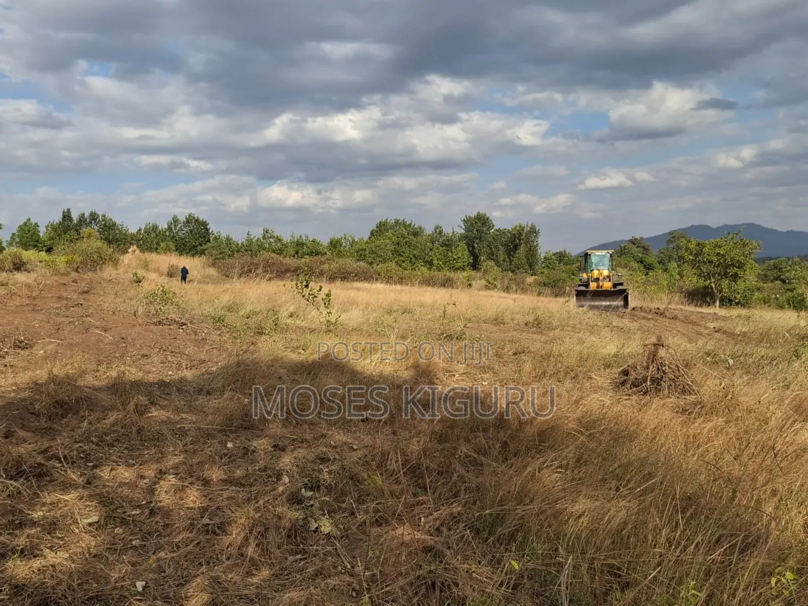 Mananja, 50x100 Plots.