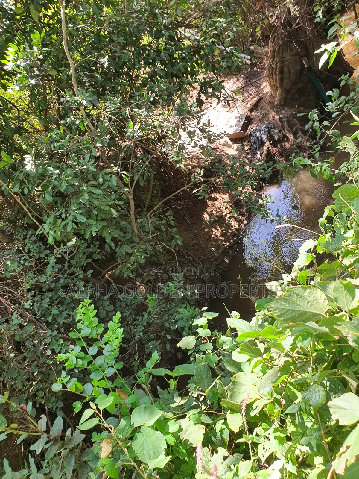 1 Acre Mirera Nanyuki