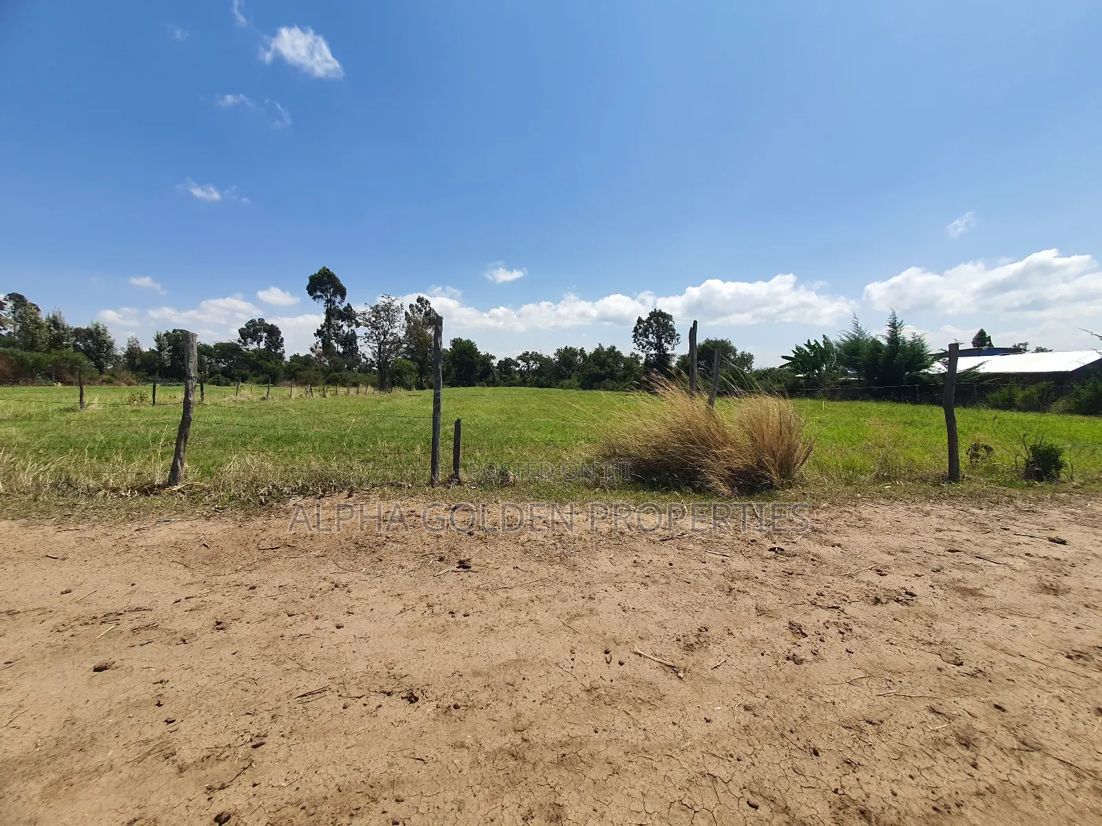 1 Acre Mirera Nanyuki