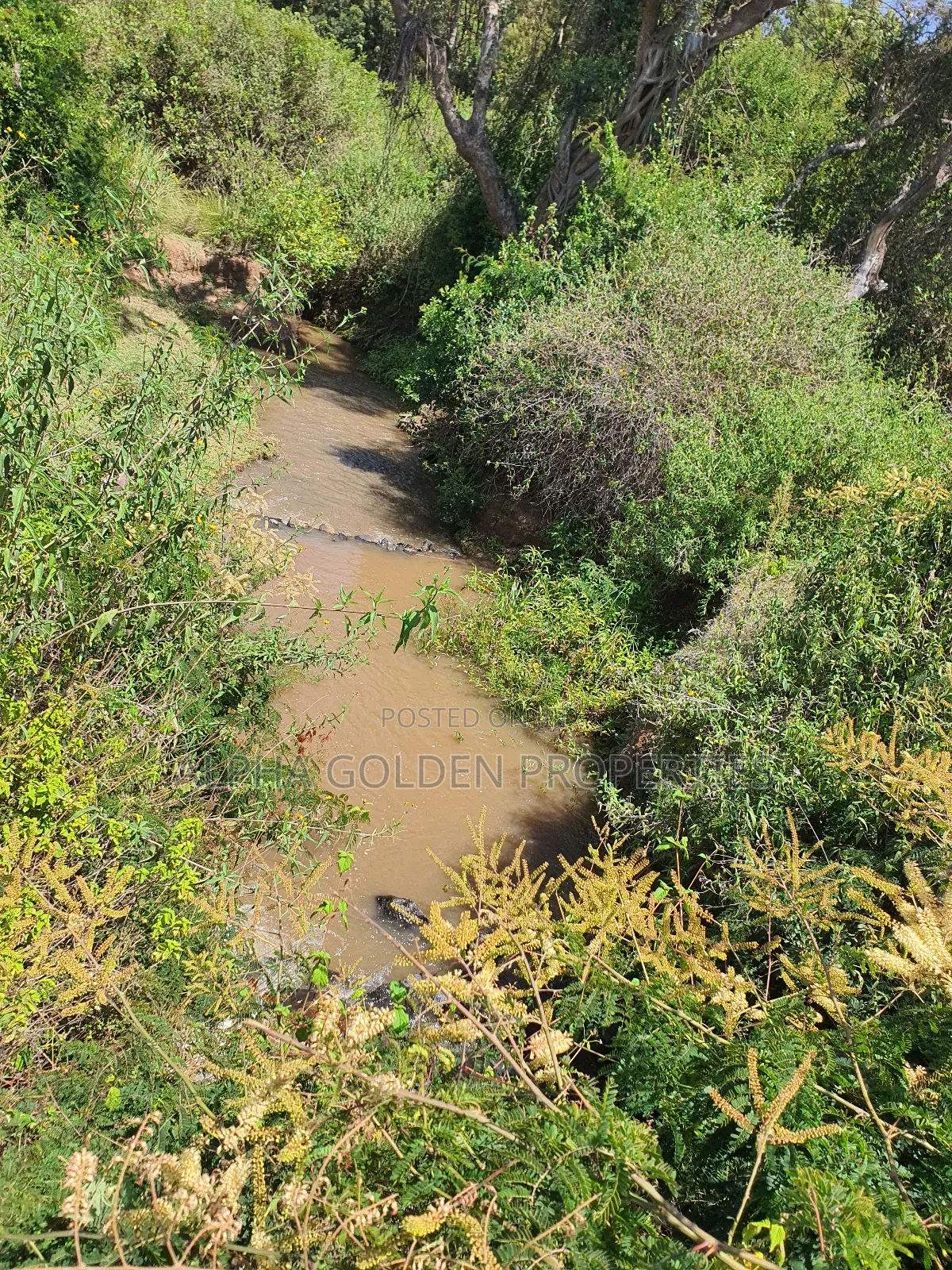1 Acre Mirera Nanyuki