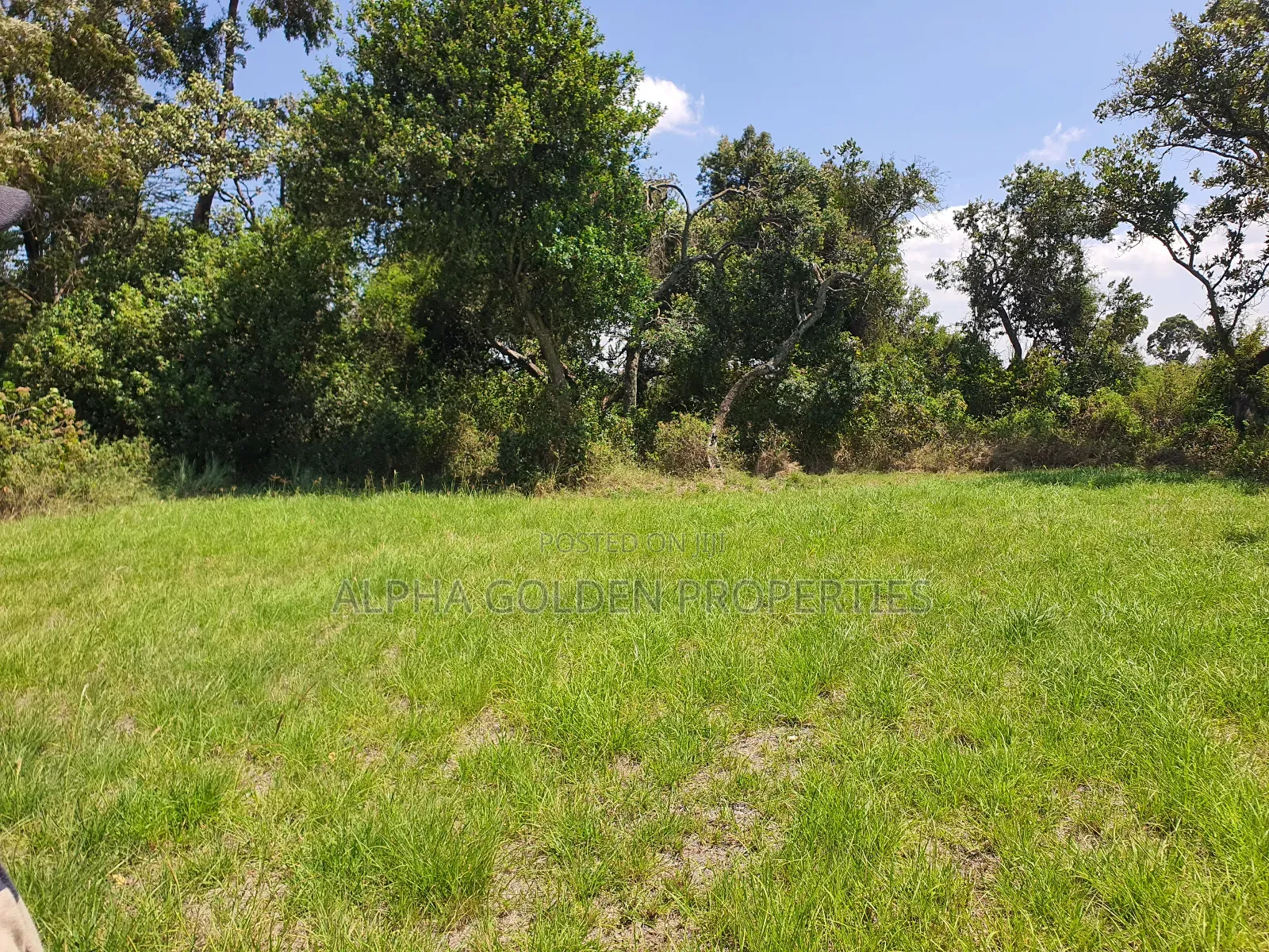 1 Acre Mirera Nanyuki