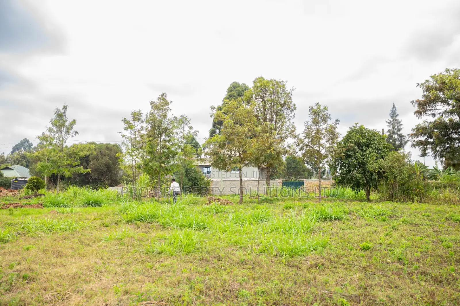 Prime Residential Plots for Sale in Kikuyu, Mai-Ii-Ihii