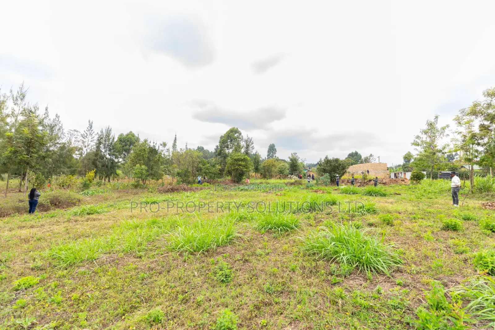 Prime Residential Plots for Sale in Kikuyu, Mai-Ii-Ihii