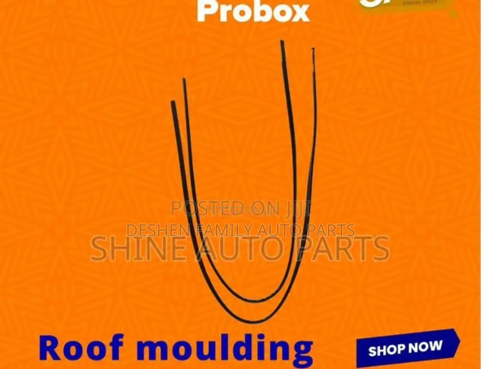Vitz, Mark X, Hilux, Probox, Wish, Fielder, Axio Roof Moulding