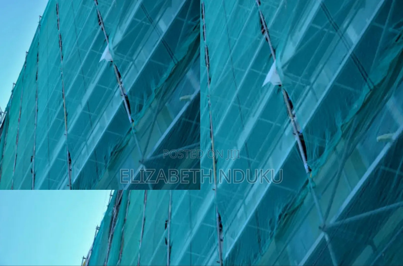 Scaffold Nets