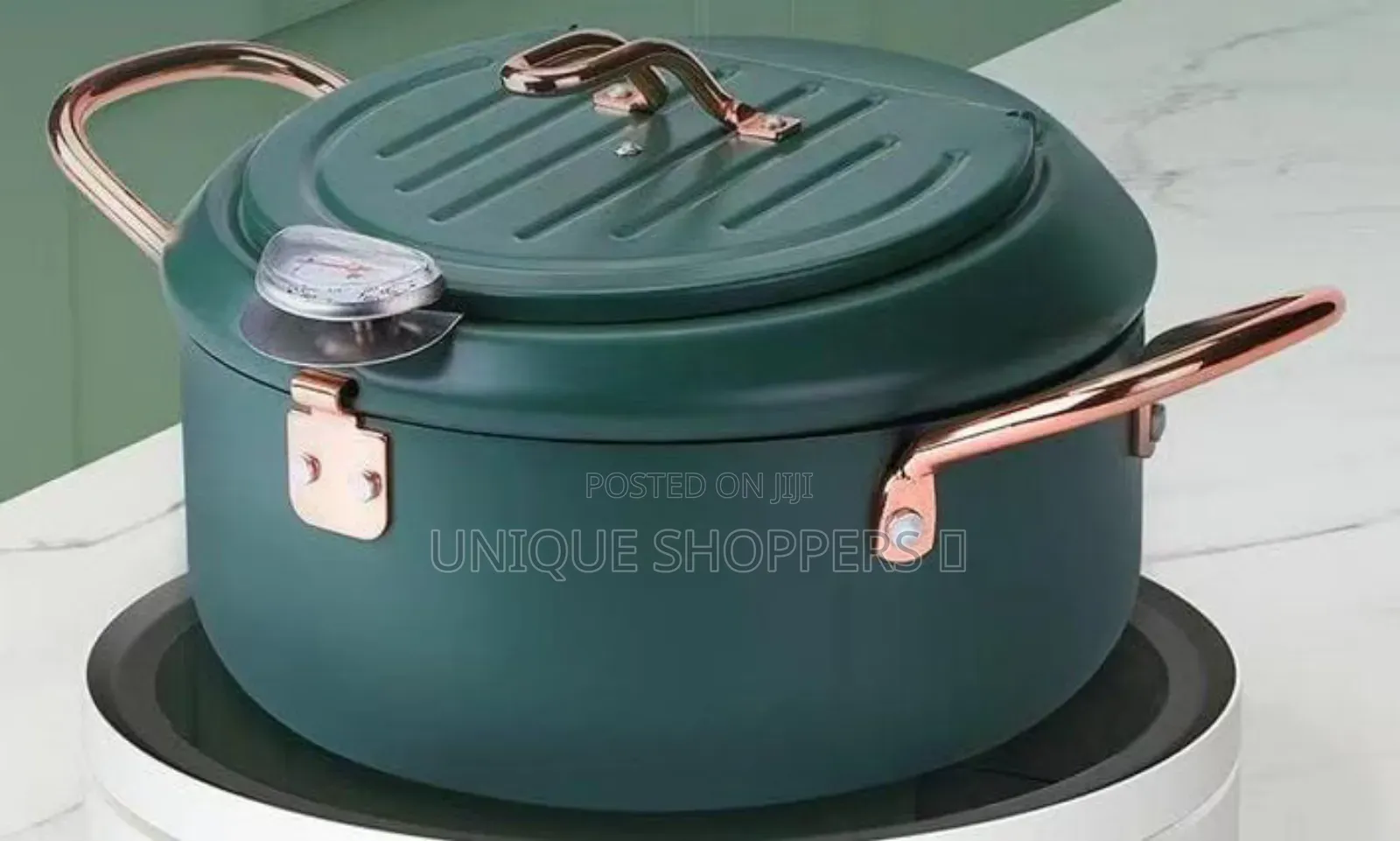 Nordic Green 3.4l Frying Pot With Thermometer and Oil Drain Grill