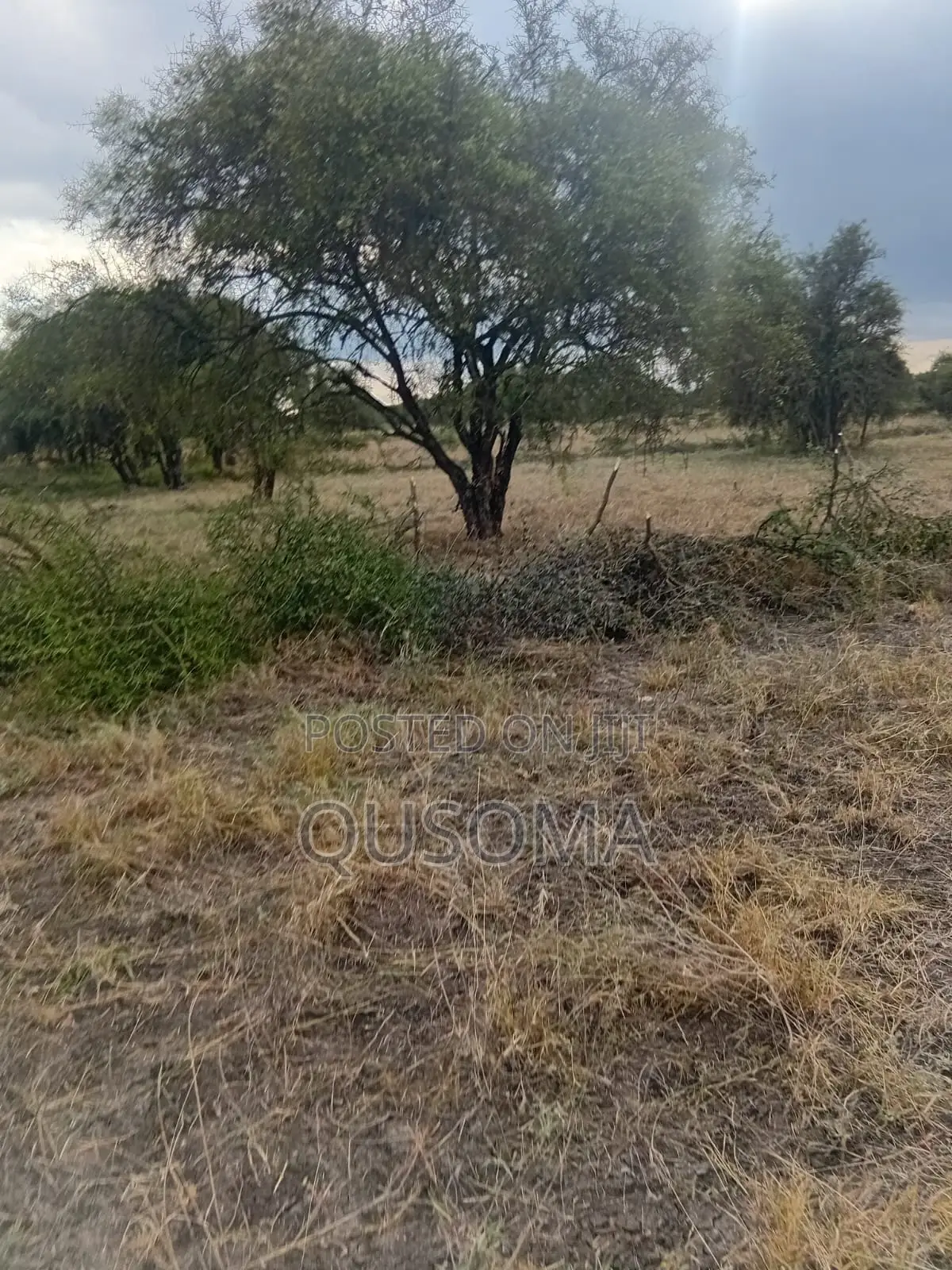 25 Acres At Kitengela Stage 26 Olooloitikoshi