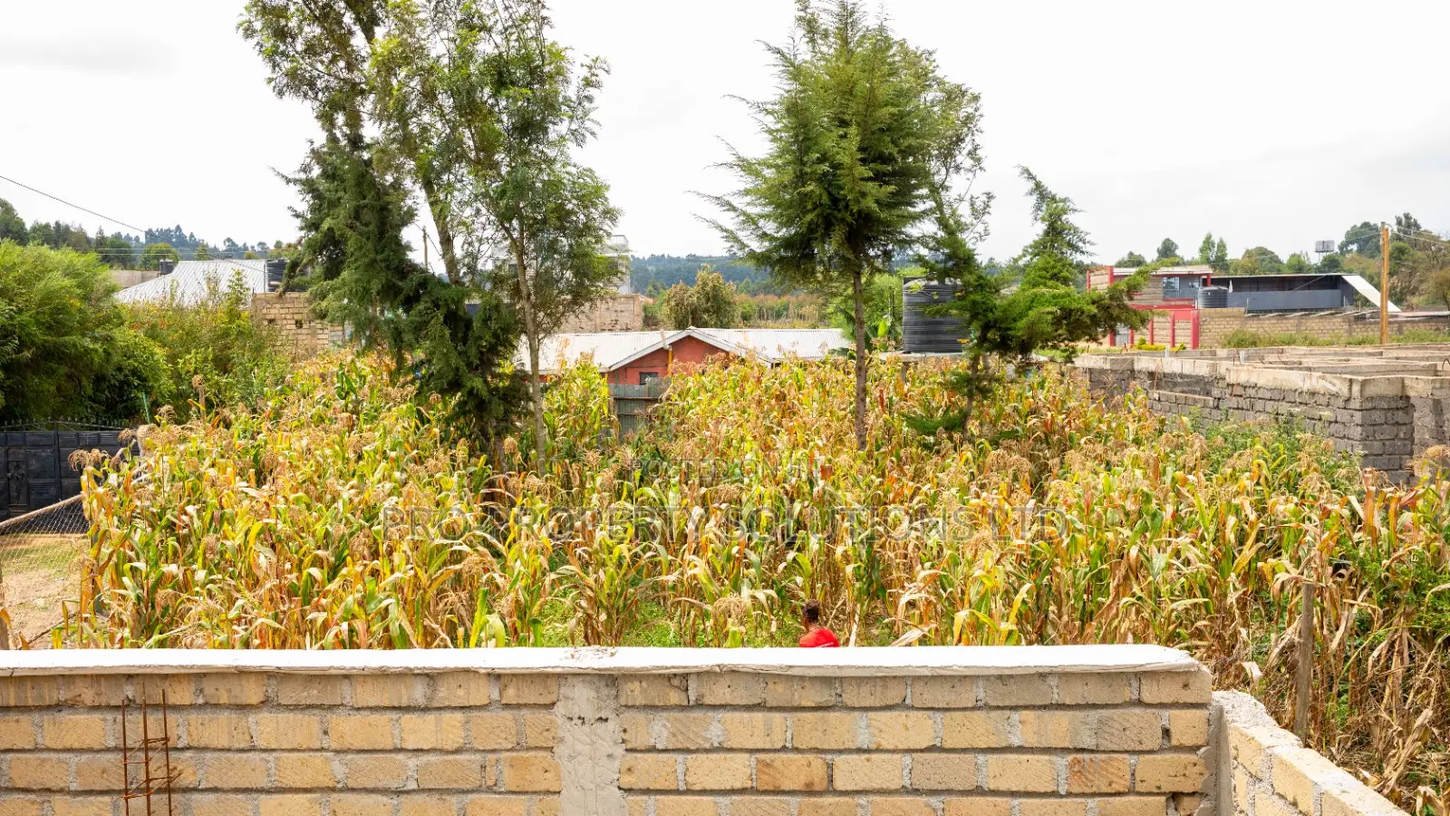 50 by 100ft Prime Residential Plot for Sale in Kikuyu, Kamangu.