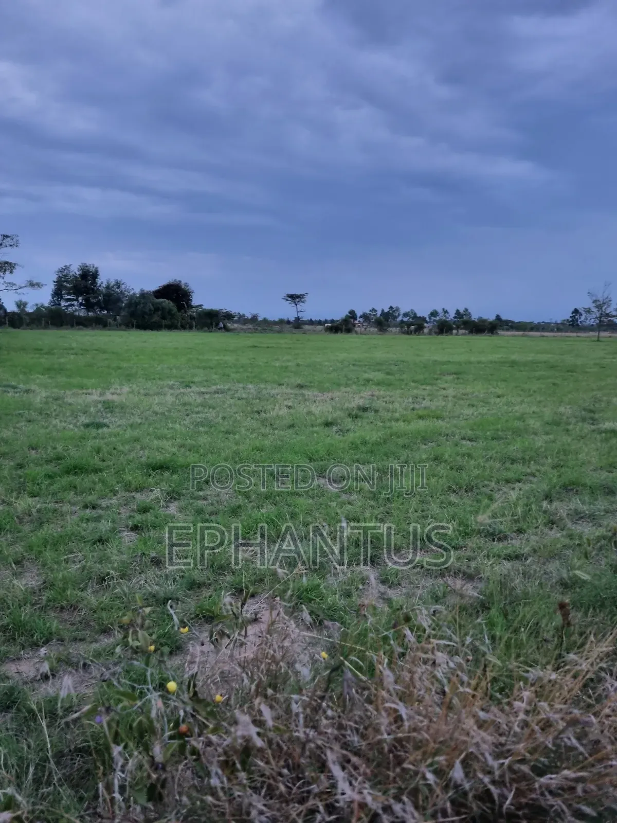 3.2 Acres Narumoru at Per Acre