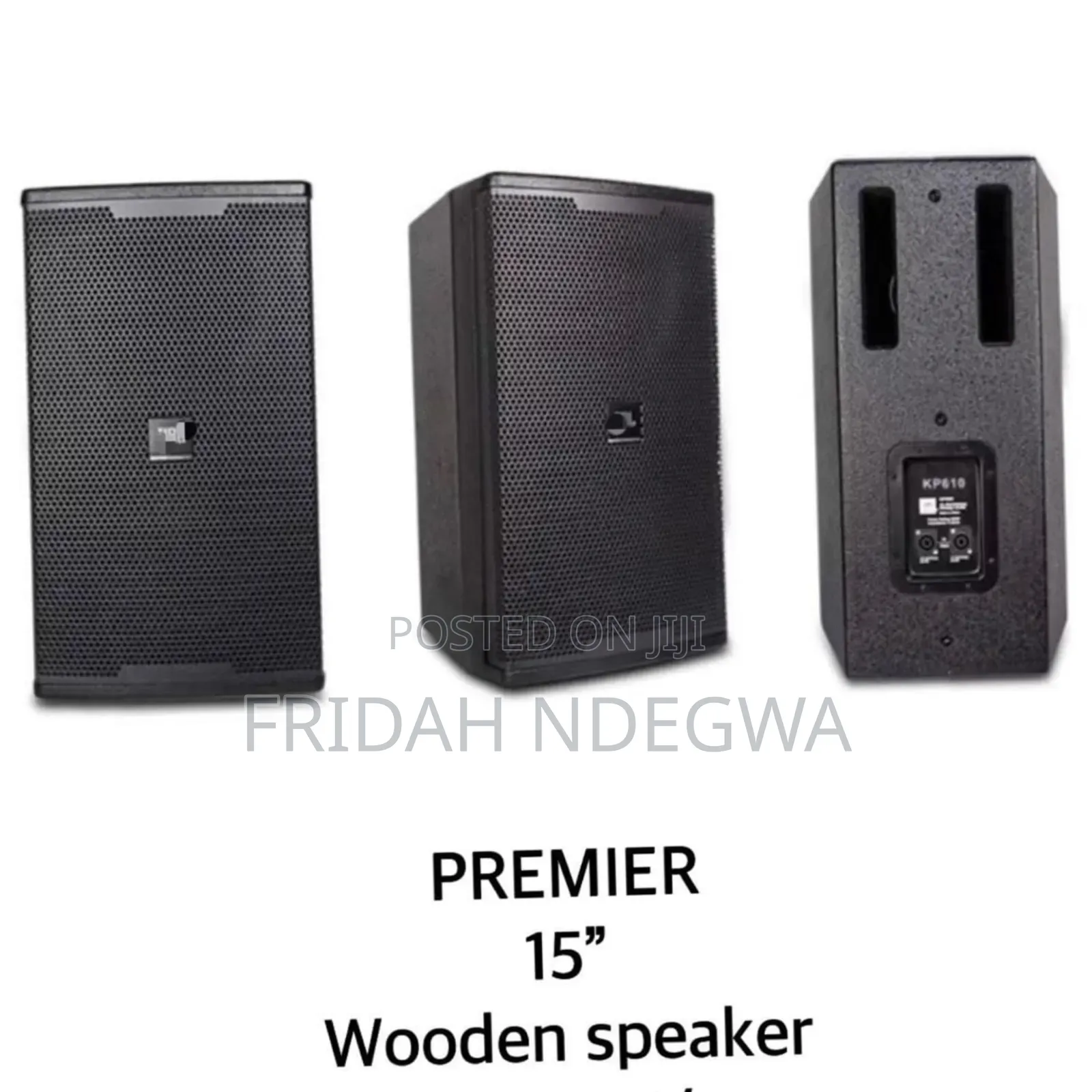 Premier 15" Wooden Speaker
