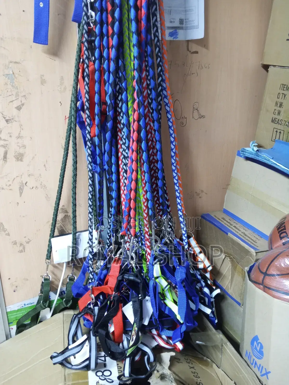 Dog Leash Dog Leash