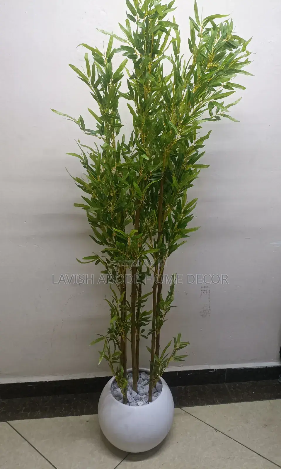 Brown Bamboo Plant in a Round White Vase