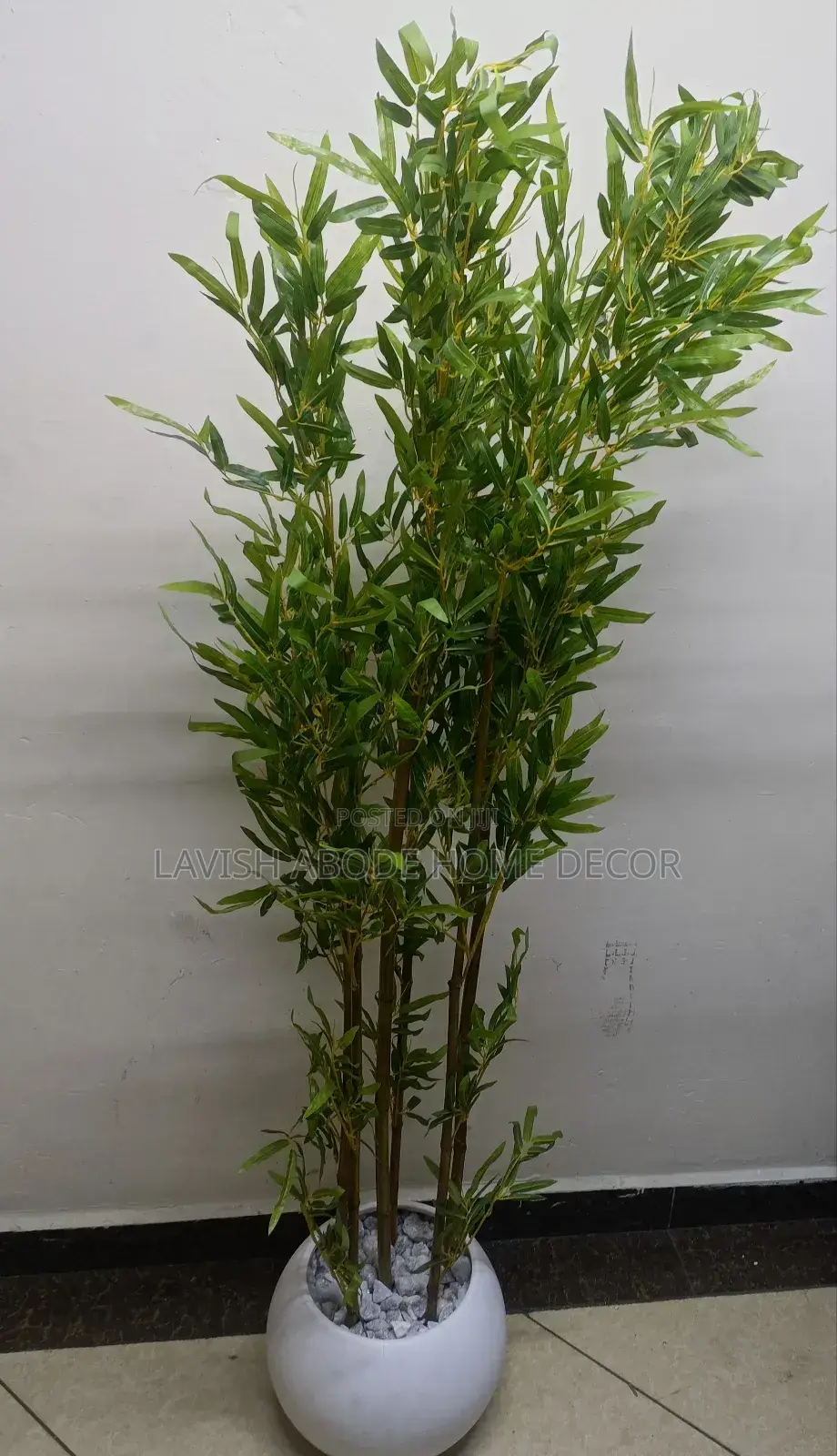 Brown Bamboo Plant in a Round White Vase