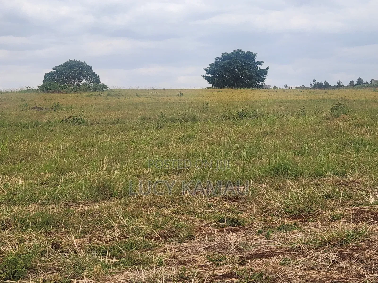 Prime 62 Acre Block for Sale in Riabai ,Kiambu