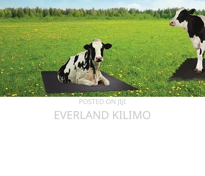 Shock-Absorbing Cow Mattress
