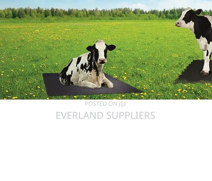 Shock-Absorbing Cow Mattress