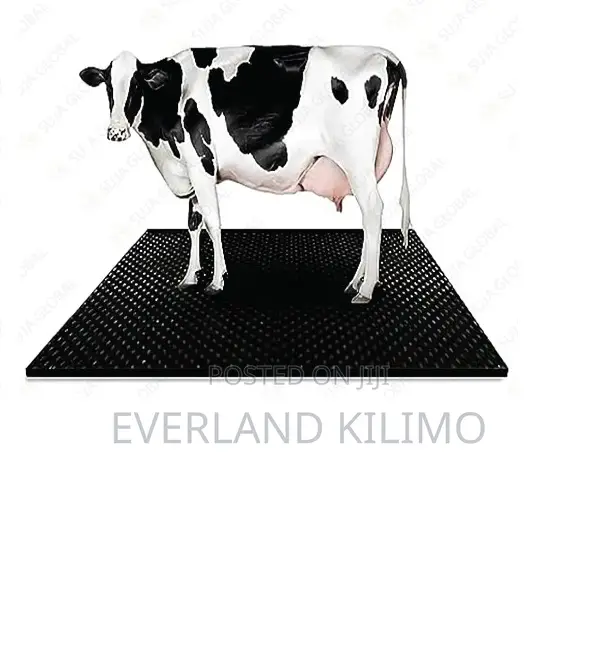 Comfortable Cow Mat