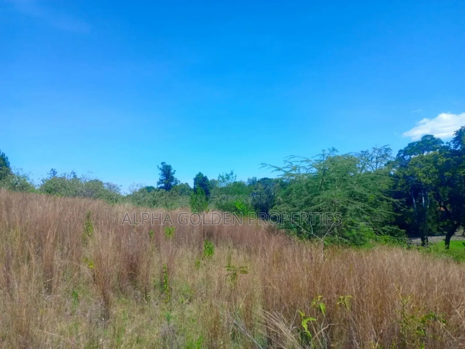 1 Acre Touching River (Daiga)