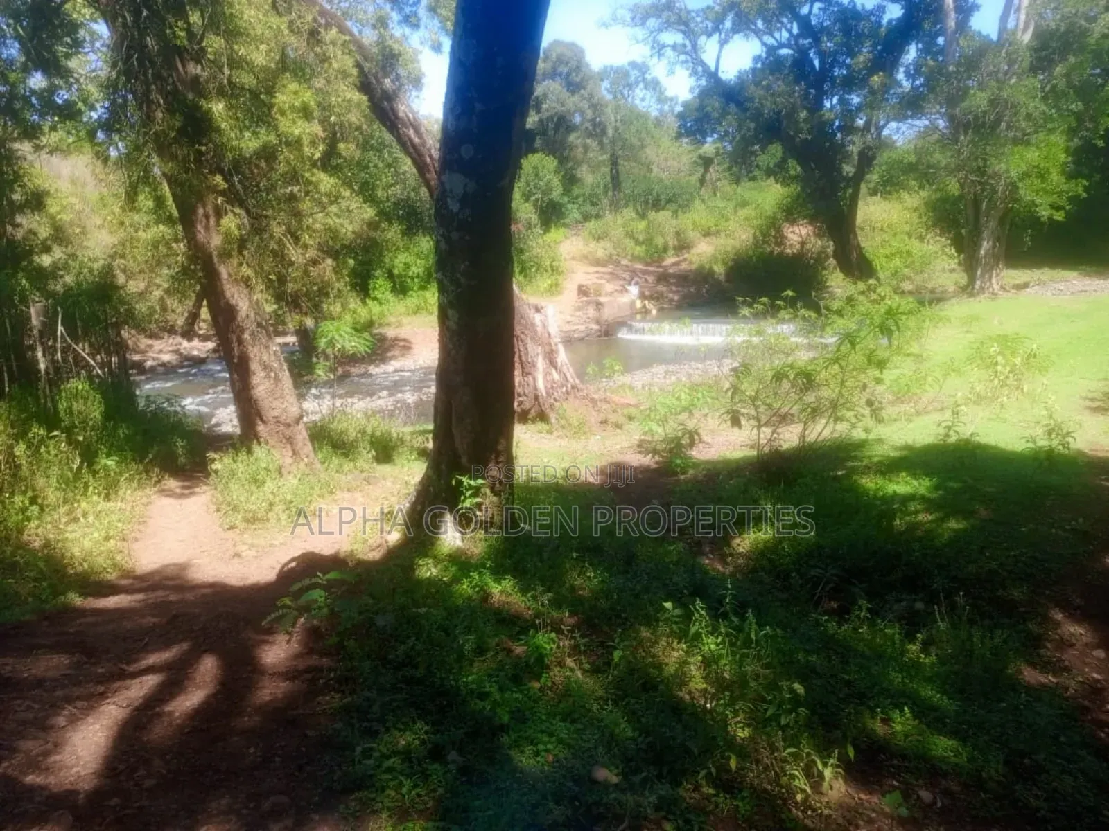 1 Acre Touching River (Daiga)