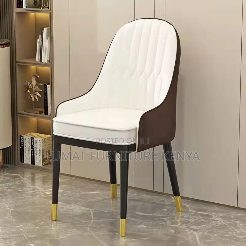 Modern Home/Office Dinning Chair