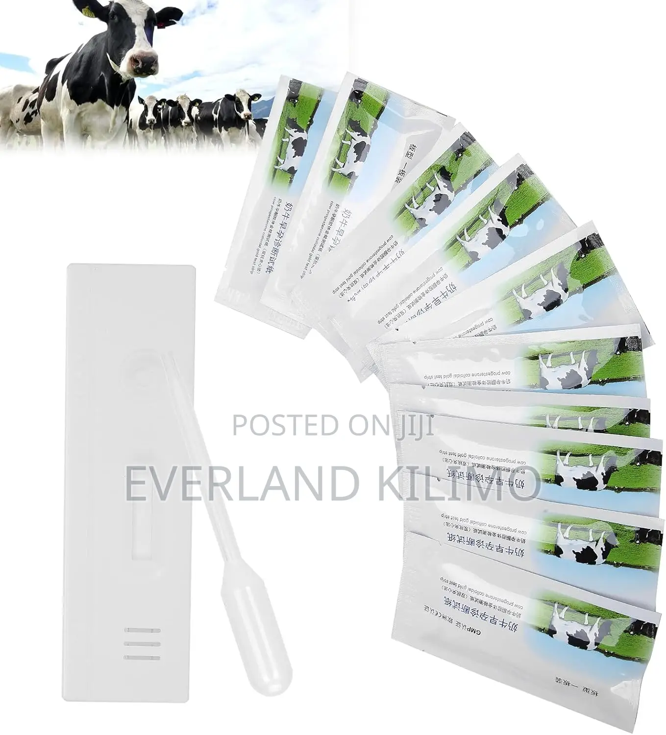 Accurate Cow Pregnancy Kits