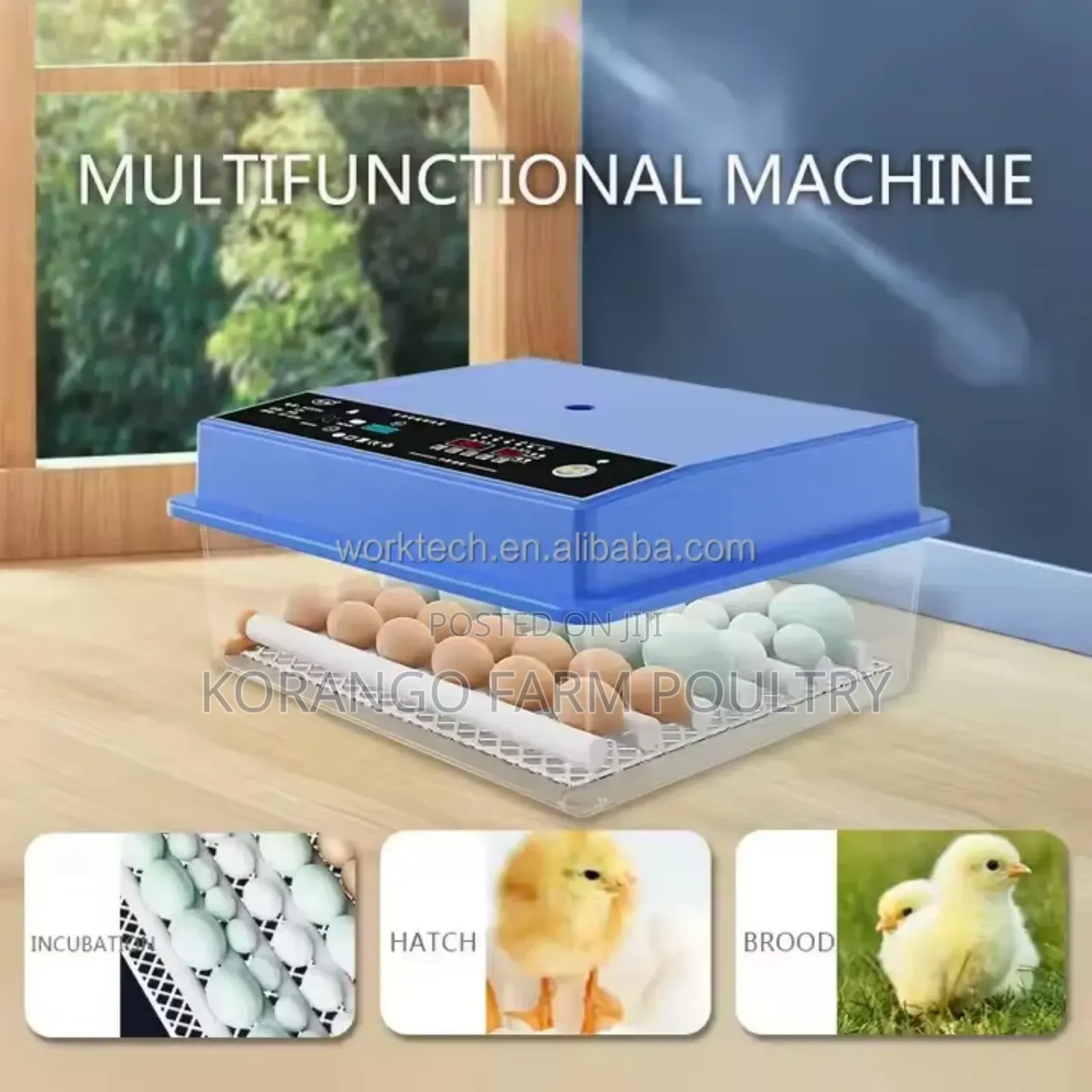 Multifunctional 56 Eggs Solar Powered Ok Incubator