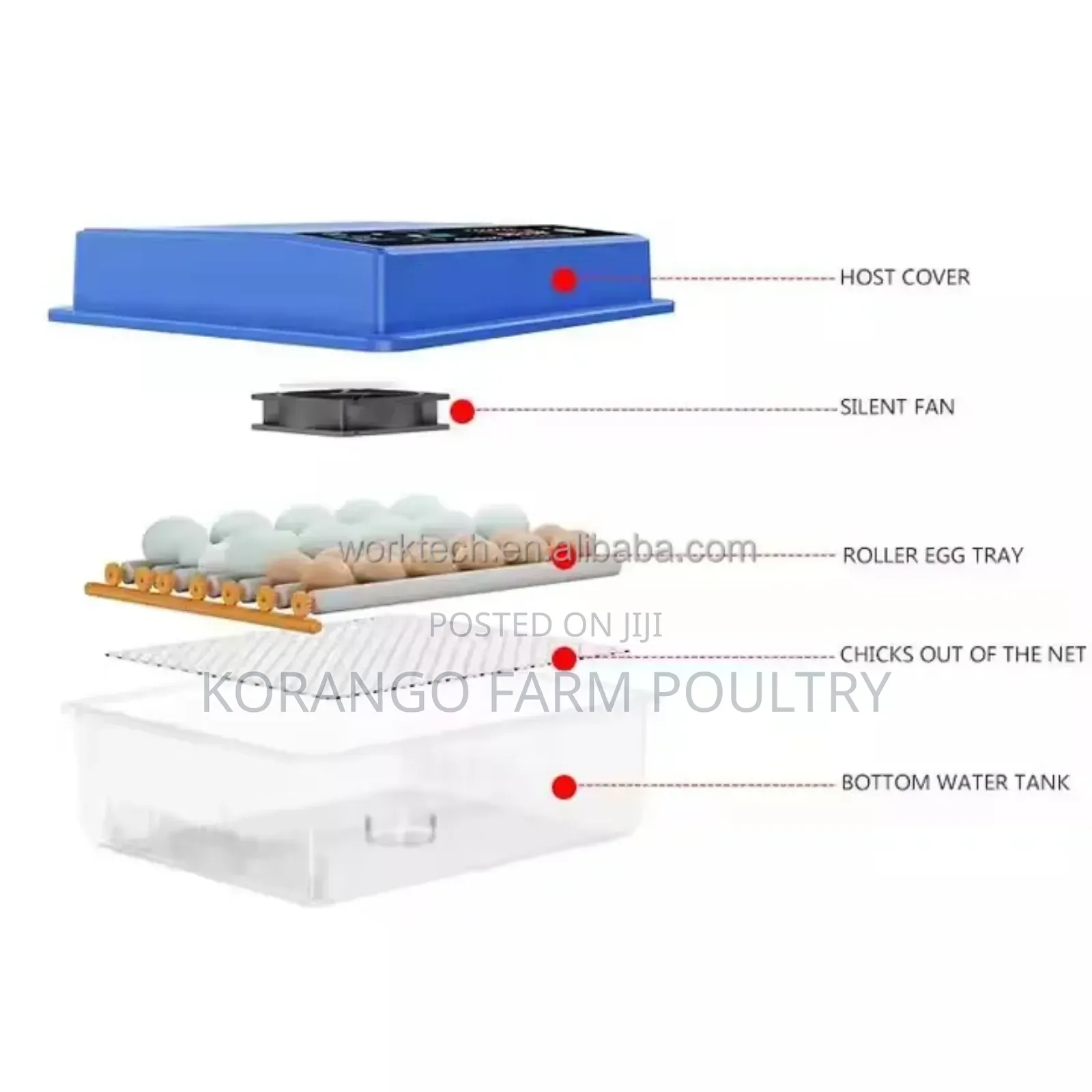 Multifunctional 56 Eggs Solar Powered Ok Incubator