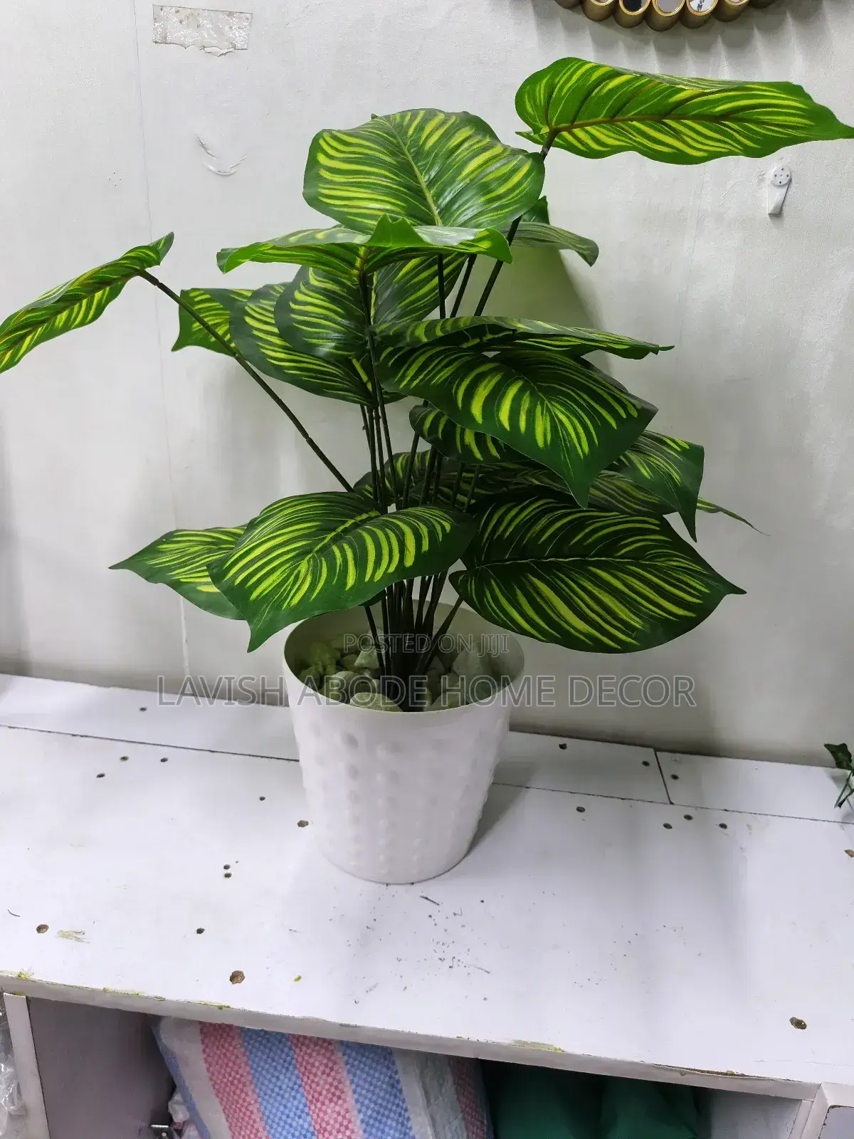 Artificial Zebra Plant in a Bubble White Vase