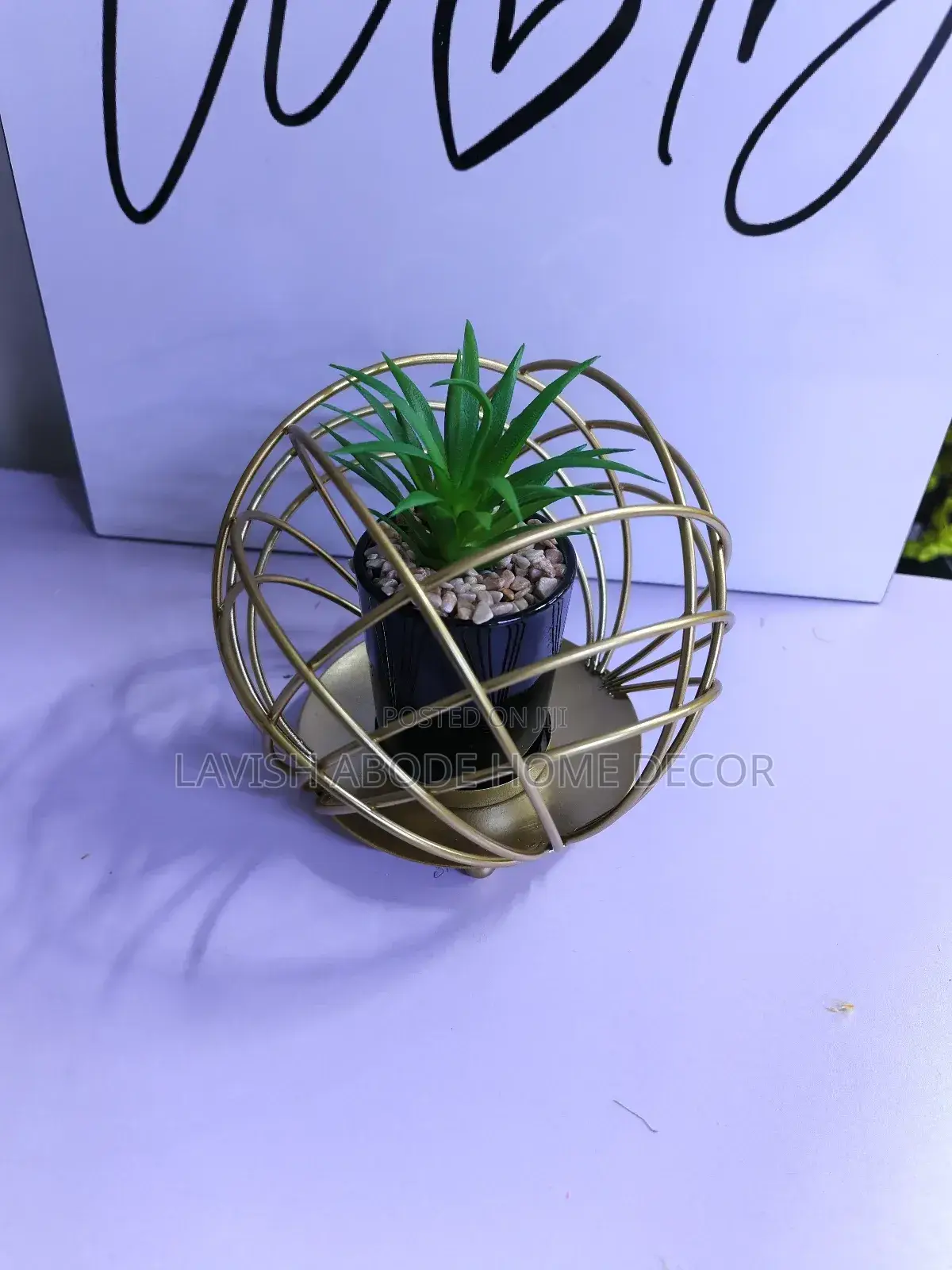 Wired Succulent Plant