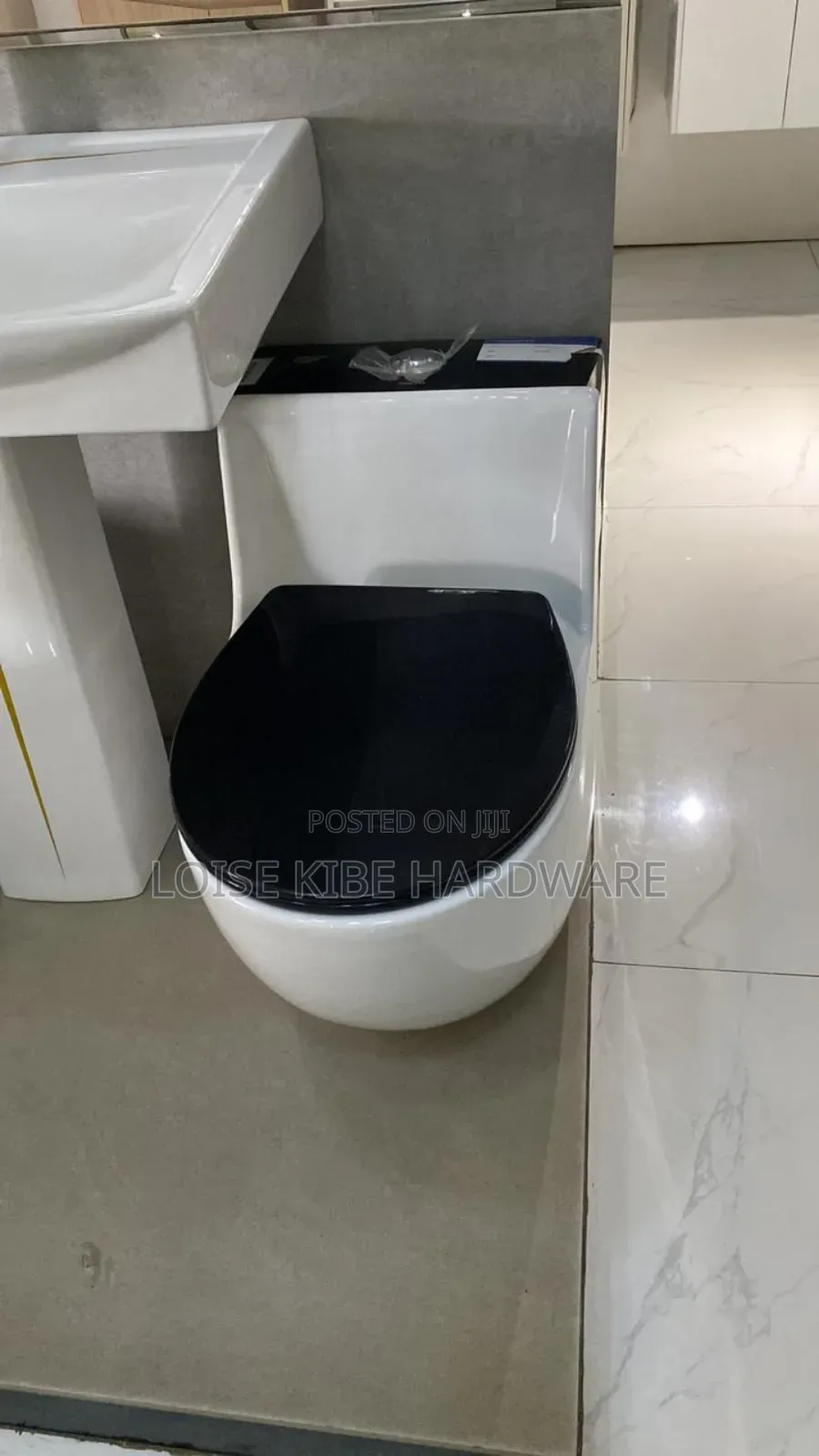 Black and White Toilet Available