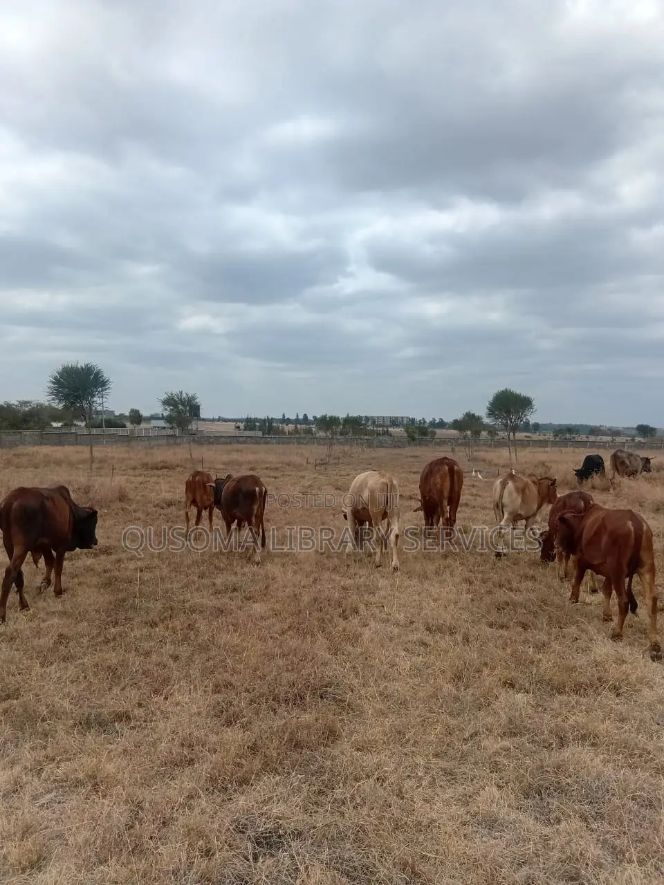 Rare 38-Plot Gated Community in Kisaju, Huanshi – Immediate Profits