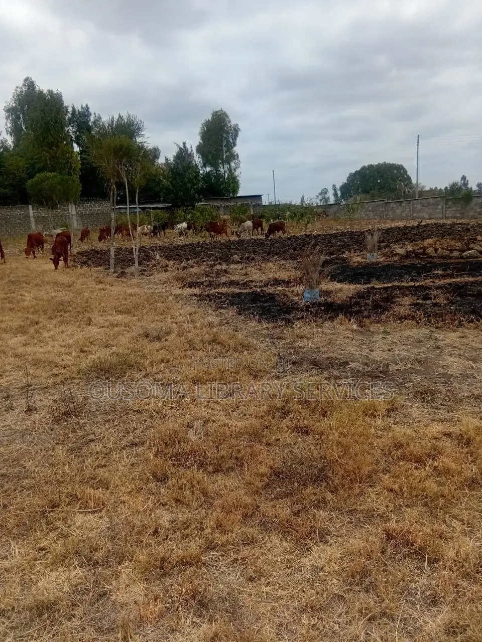 Rare 38-Plot Gated Community in Kisaju, Huanshi – Immediate Profits