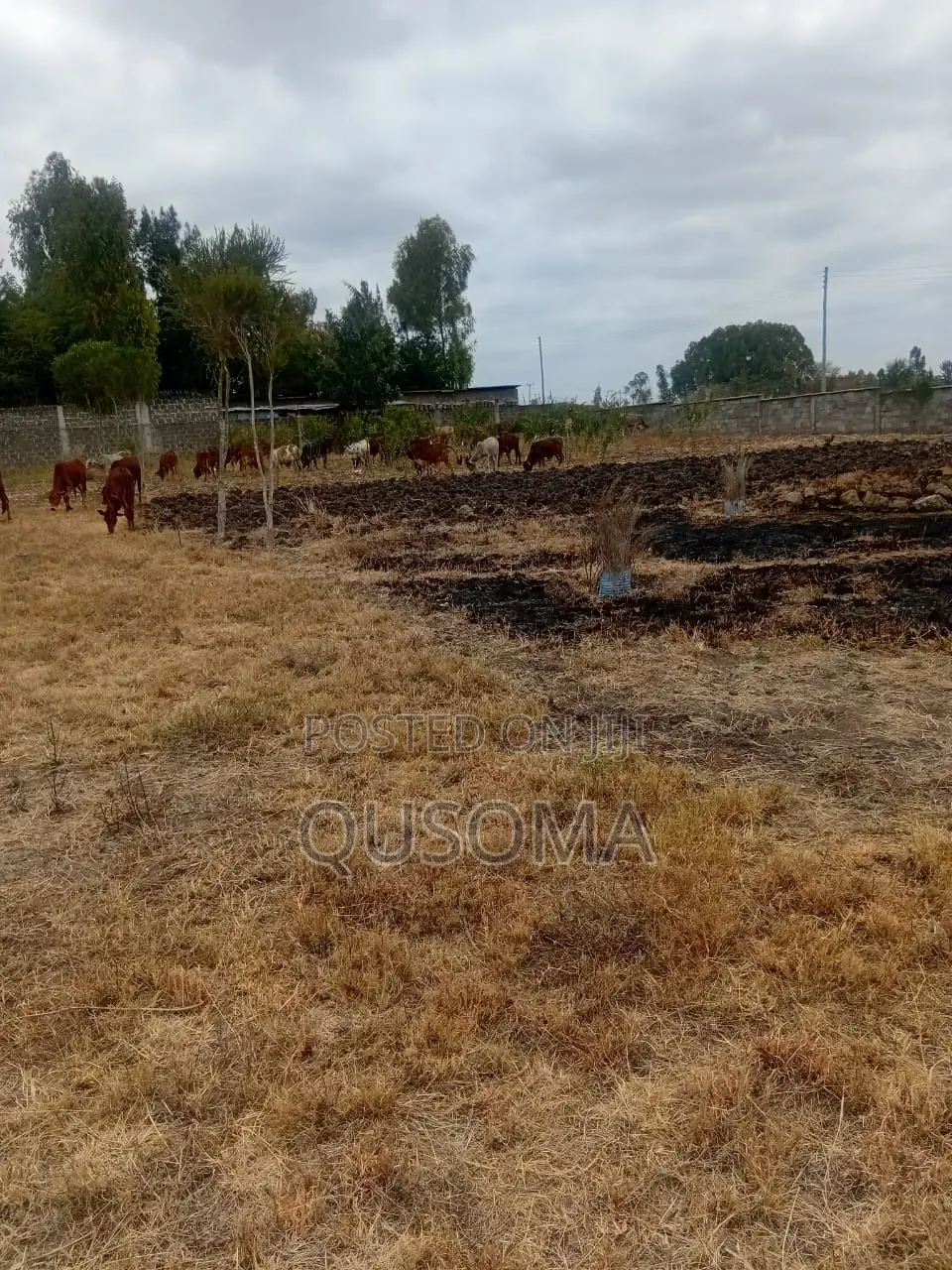 Rare 38-Plot Gated Community in Kisaju, Huanshi – Immediate Profits