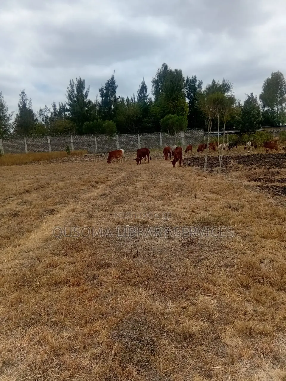 Rare 38-Plot Gated Community in Kisaju, Huanshi – Immediate Profits