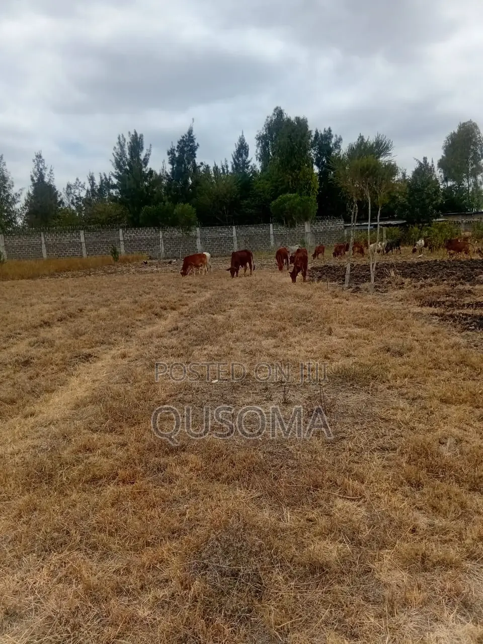 Rare 38-Plot Gated Community in Kisaju, Huanshi – Immediate Profits