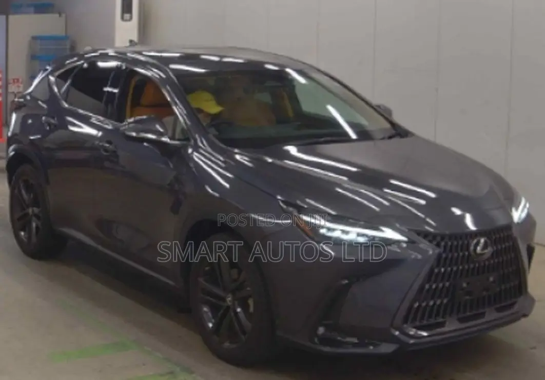 Lexus NX 2022 Gray