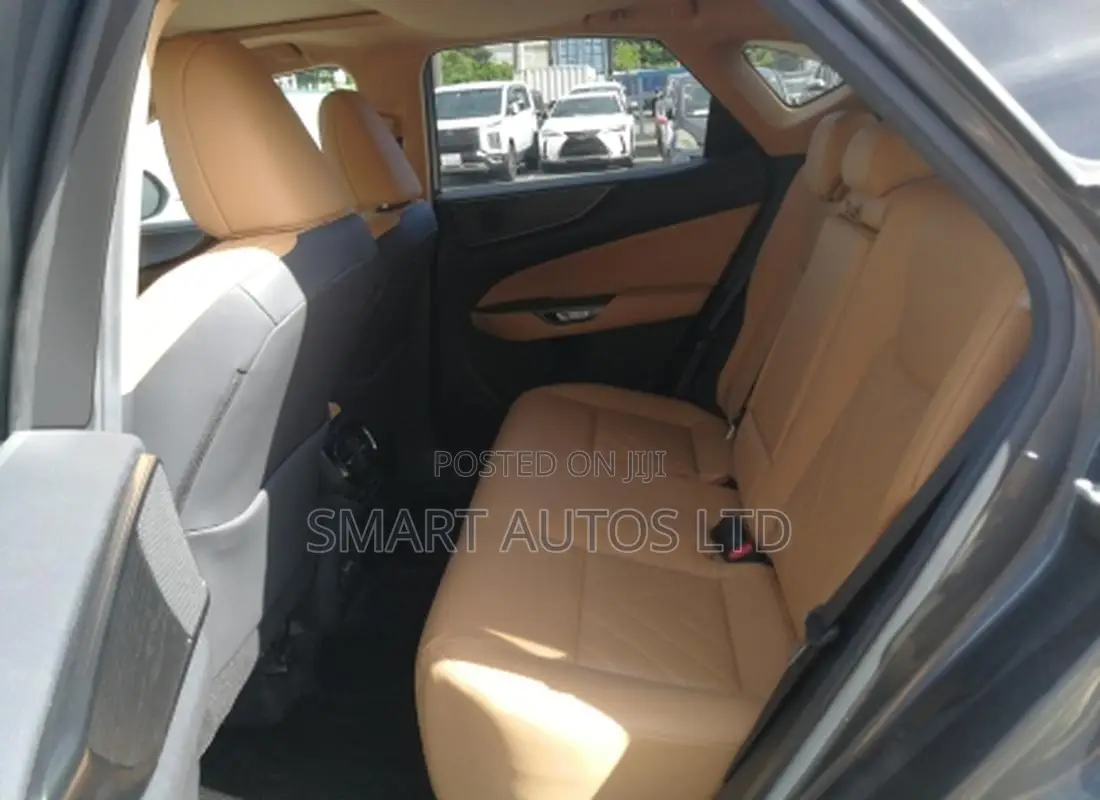 Lexus NX 2022 Gray