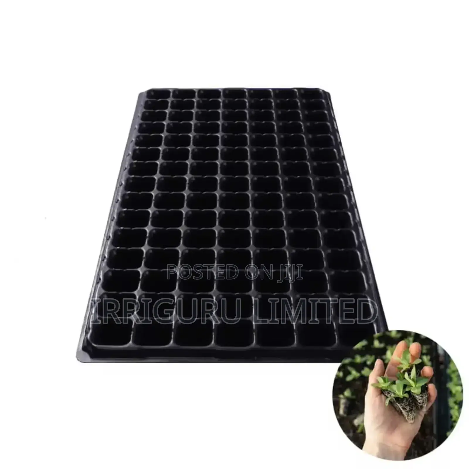 The-Trays 200