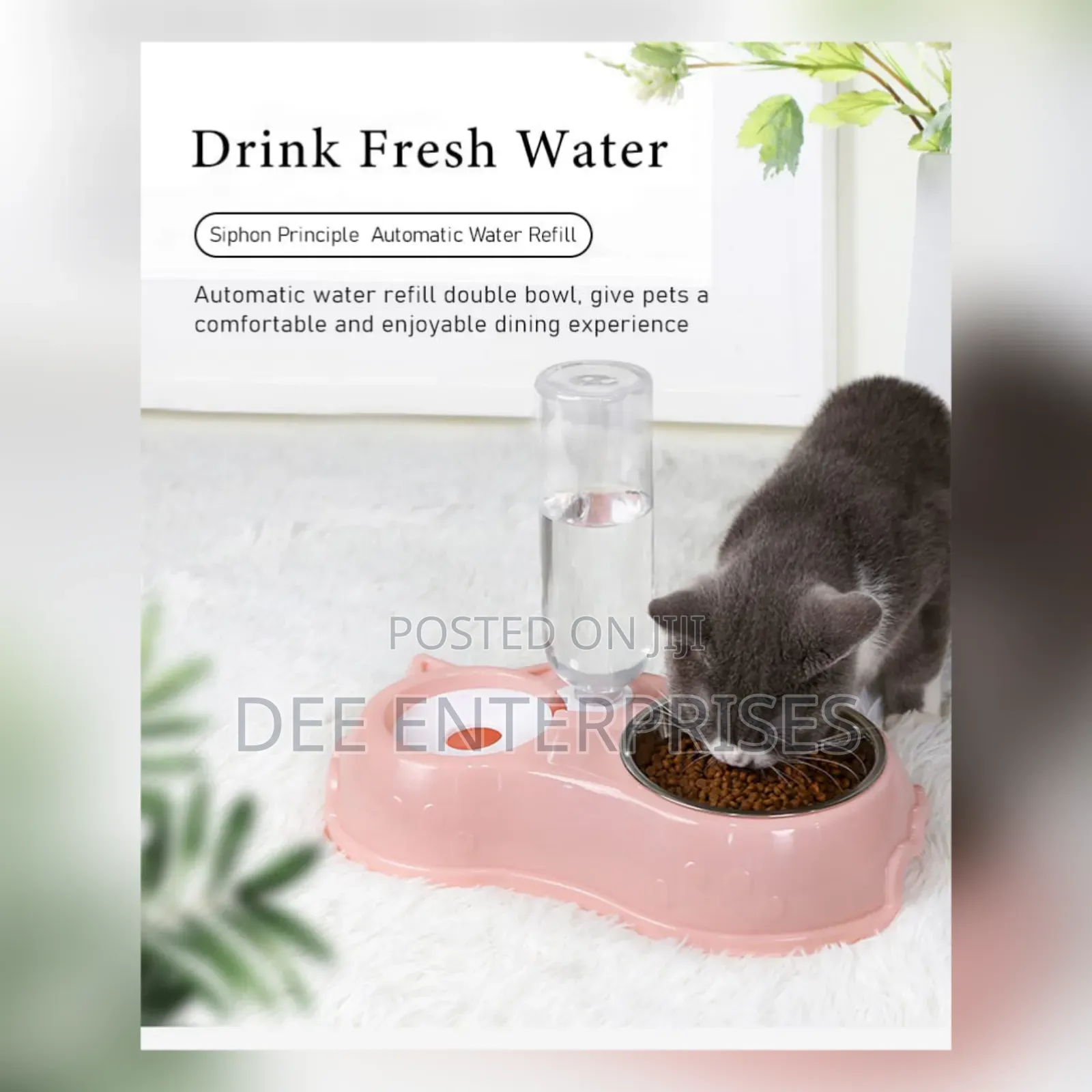 Single Pet Bowl Plus Water Dispenser