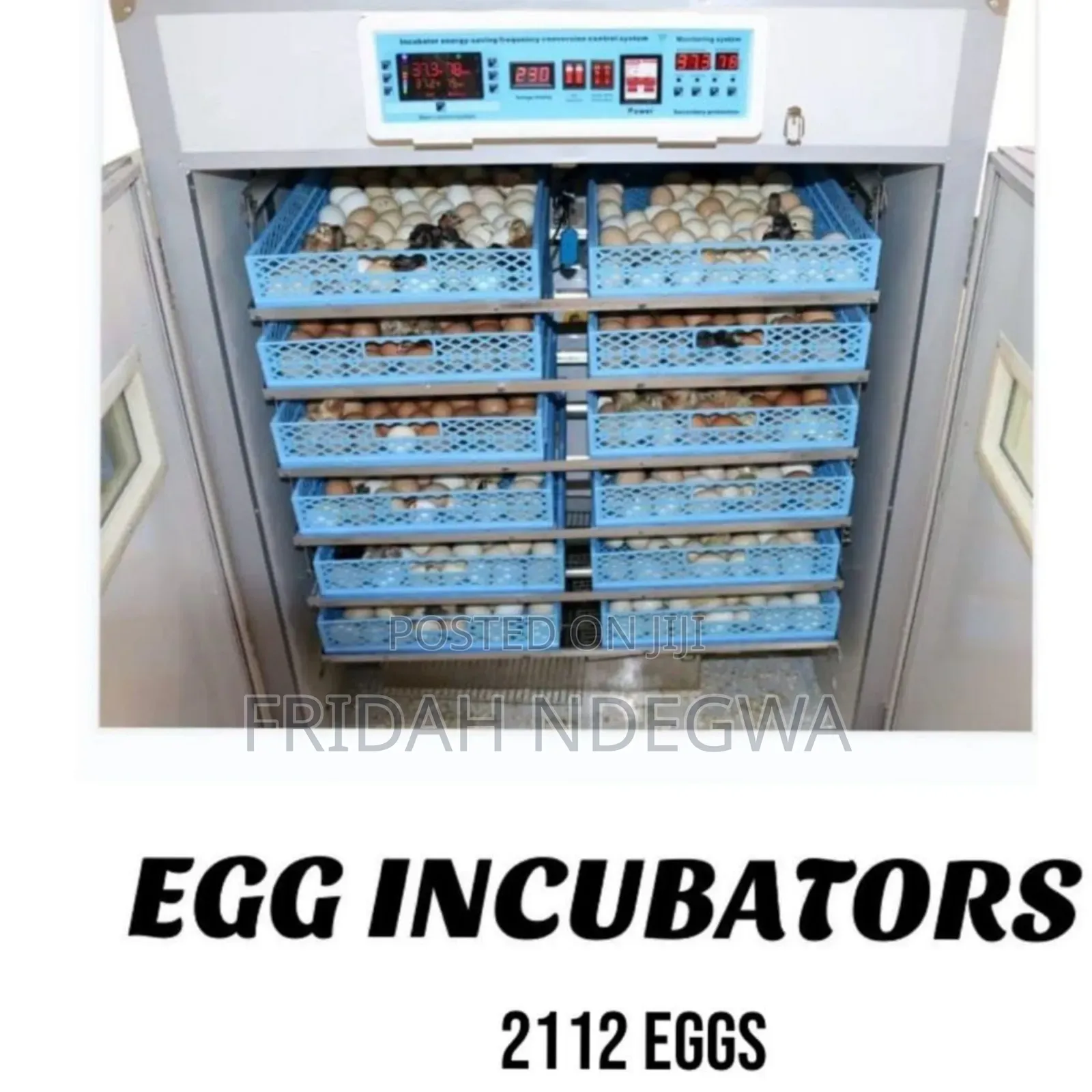Egg Incubator 2112 Eggs
