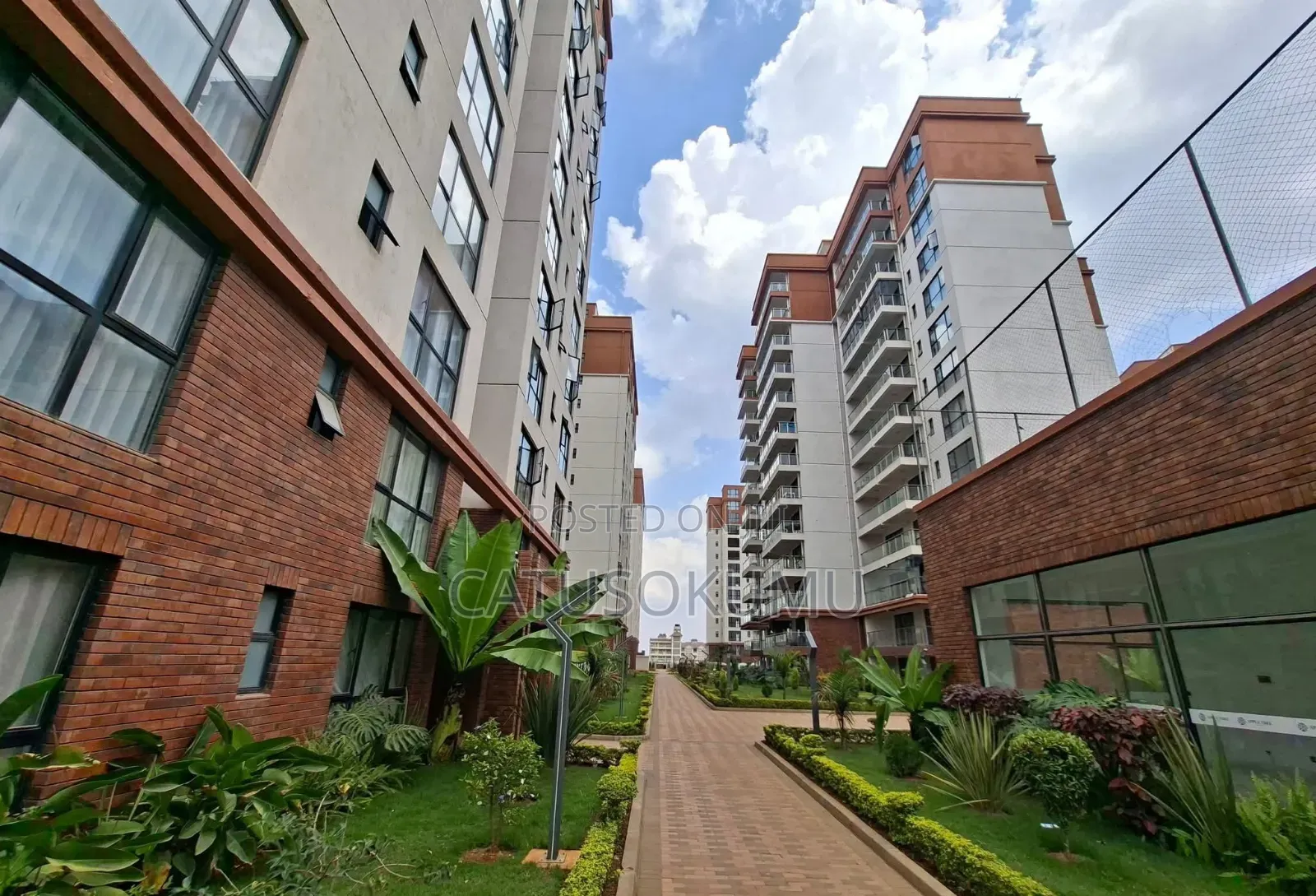 2bdrm Apartment in Syokimau for rent