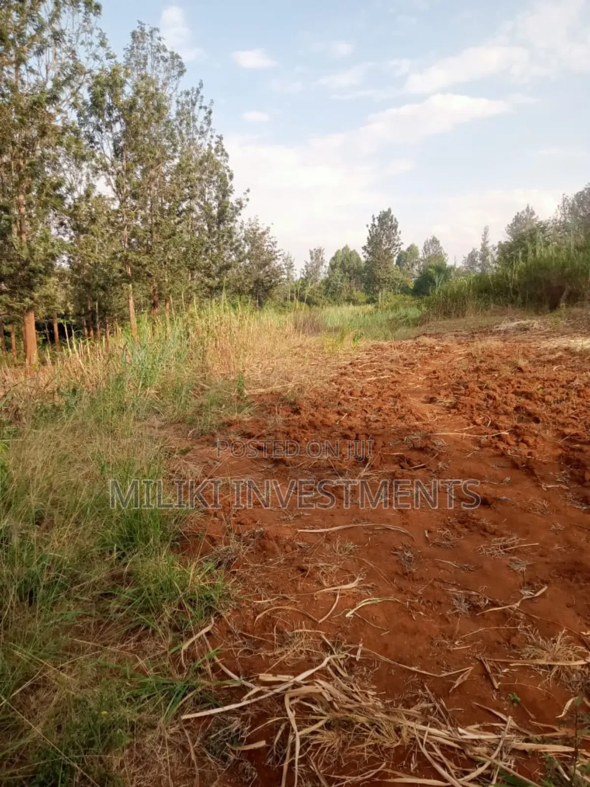 2 Acres on Sale at Maragua-Summar Area