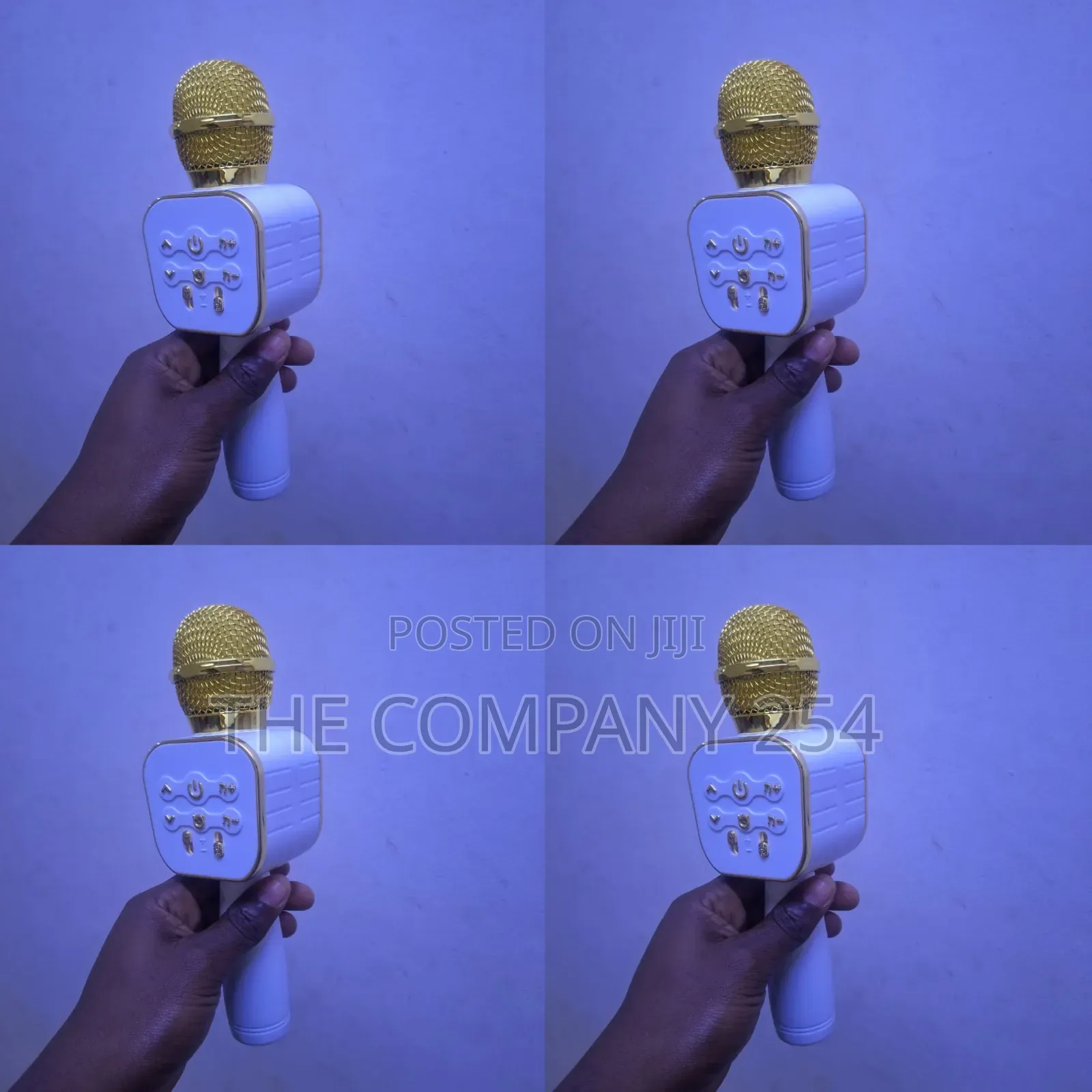 Wireless Bluetooth Karaoke Microphone, Built-in Speaker, At 1700