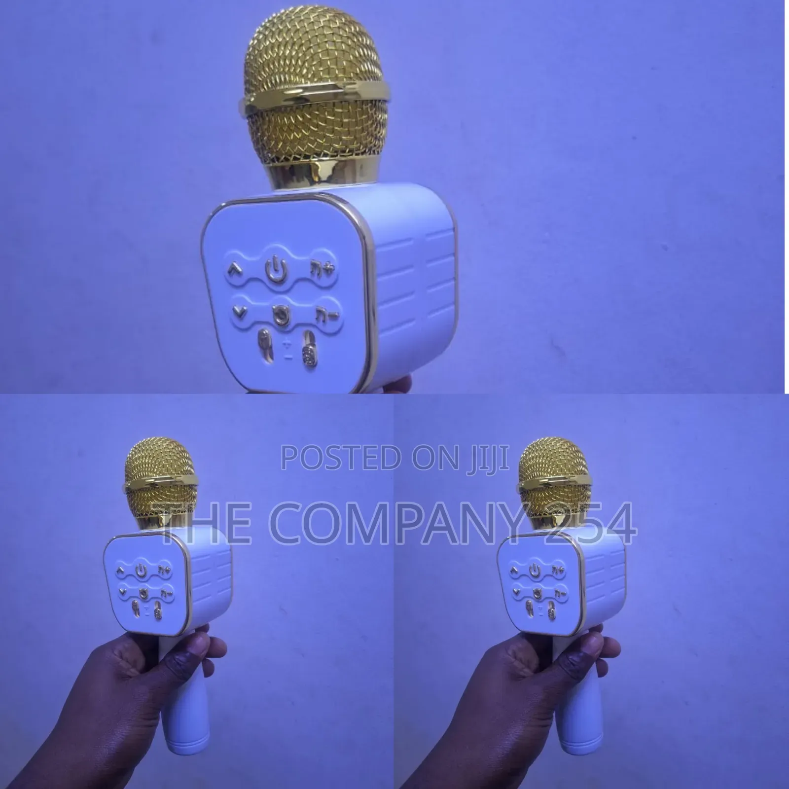 Wireless Bluetooth Karaoke Microphone, Built-in Speaker, At 1700