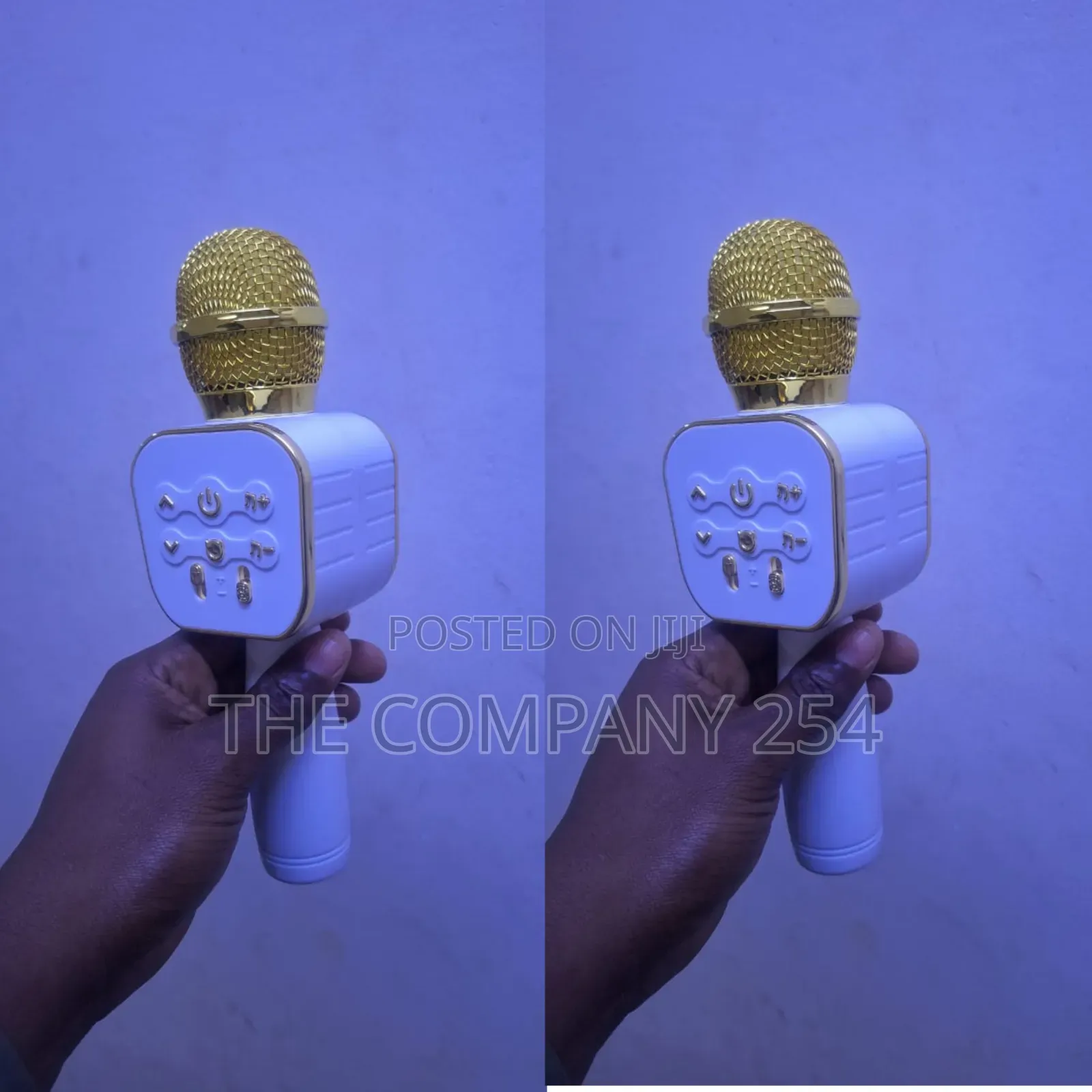 Wireless Bluetooth Karaoke Microphone, Built-in Speaker, At 1700