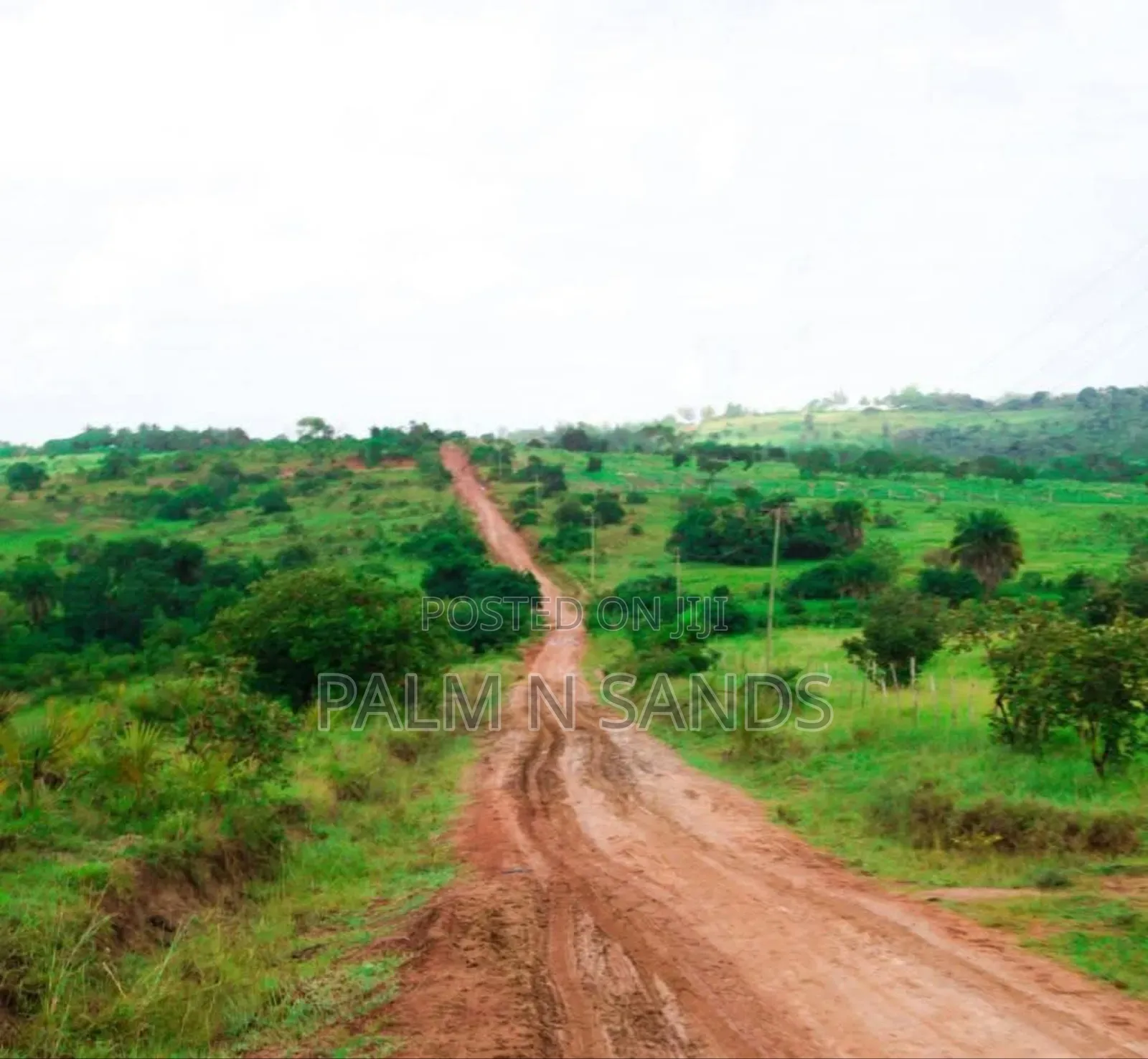 31 Acres in Shimba Hills on Sale