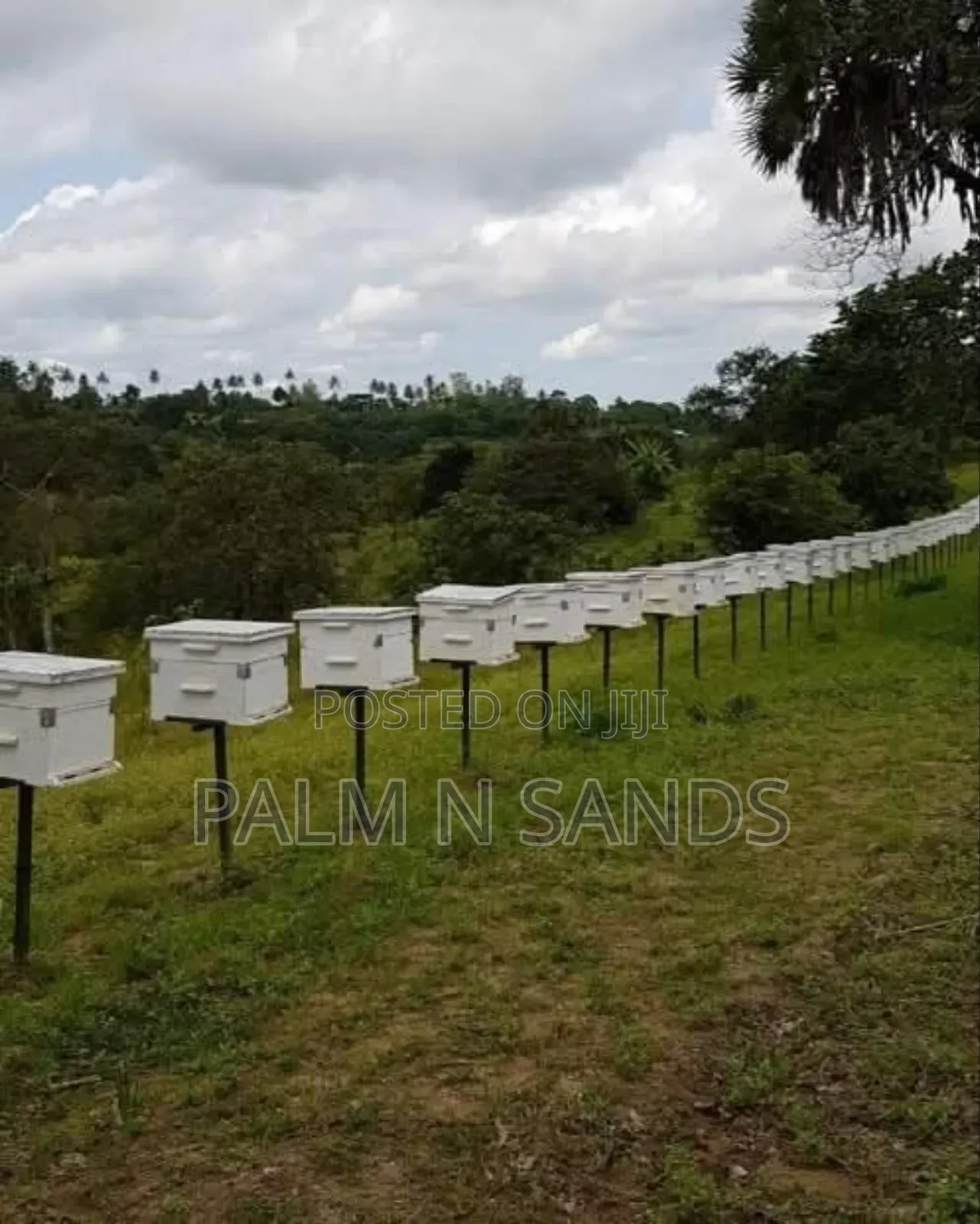 31 Acres in Shimba Hills on Sale