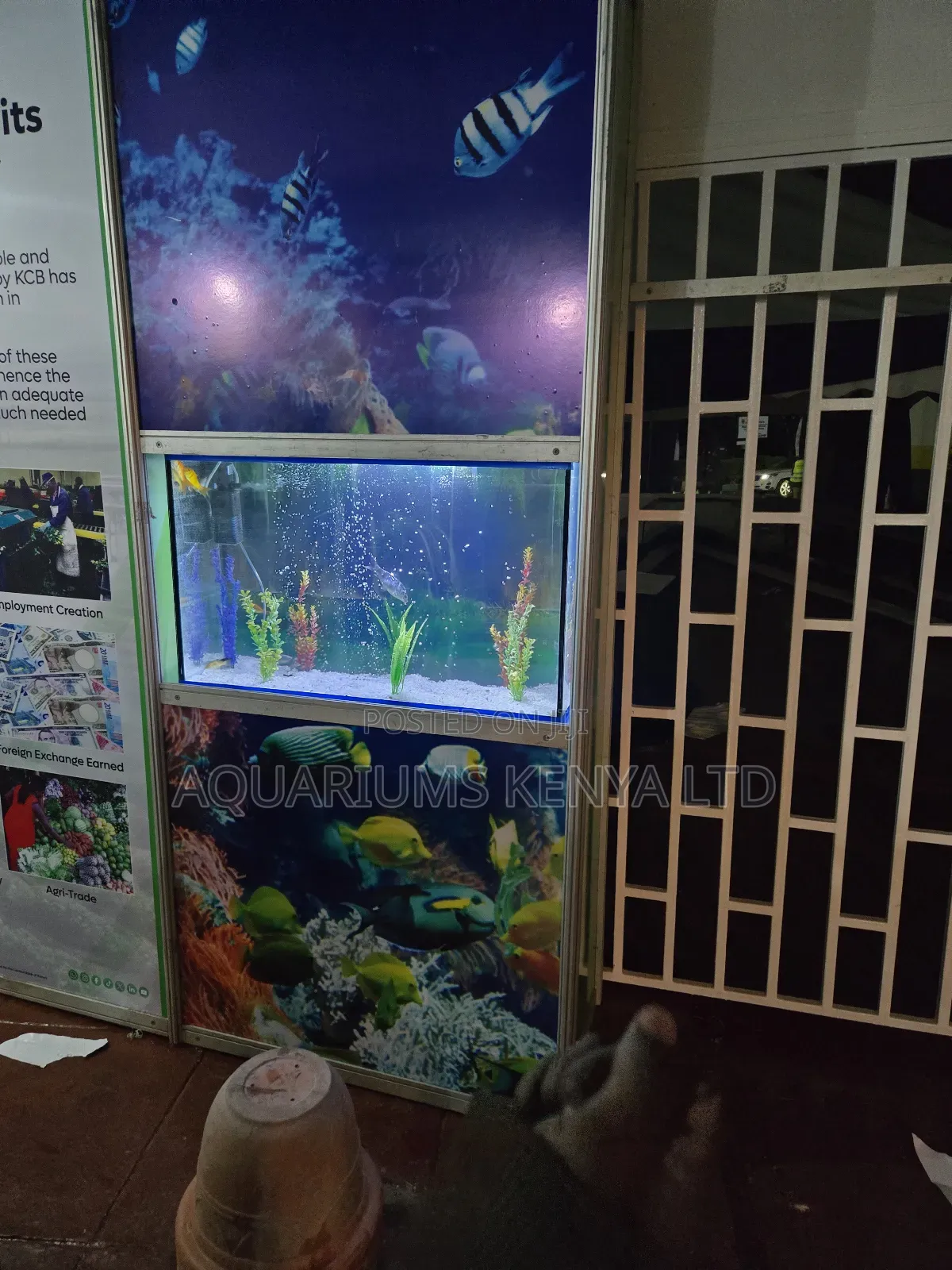 Exhibition Stand Aquariums – Custom-Built for Trade Shows and Events