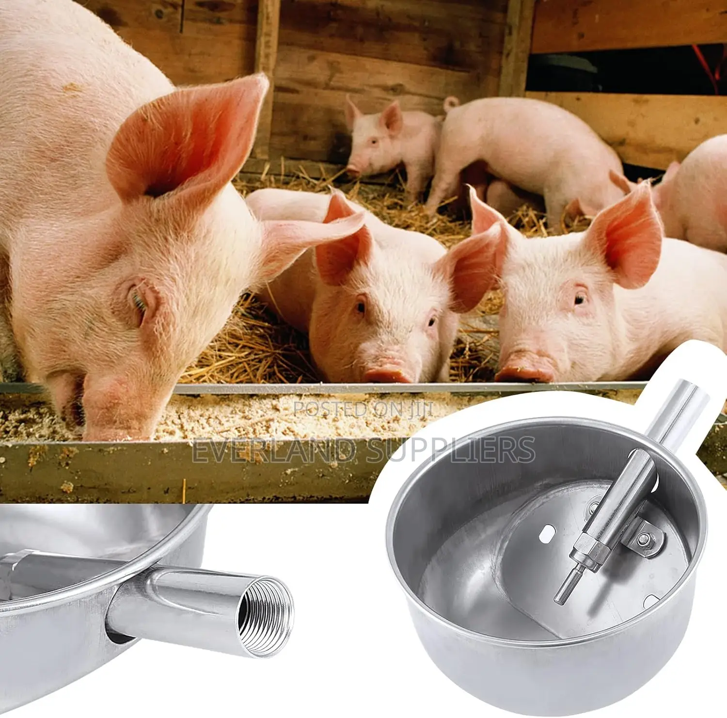 Easy-to-Install Pig Waterer