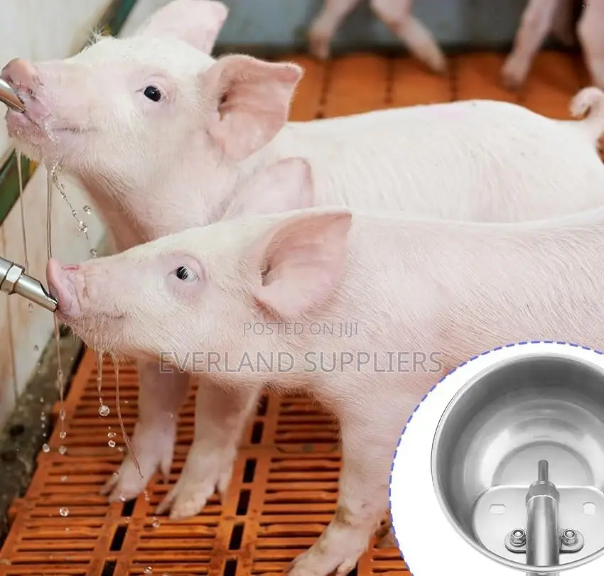Efficient Pig Waterer